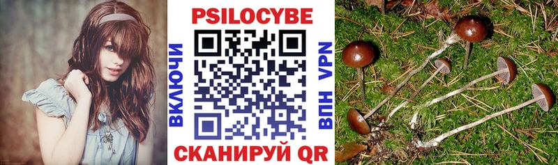 Псилоцибиновые грибы MAGIC MUSHROOMS  Купить закладки  Воткинск 